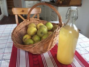 Naturalny ocet jabłkowy w szklanej butelce, wiklinowy kosz pełen jabłek - Ocet jabłkowy - prosty przepis, cudowne działanie, mnóstwo zastosowań.