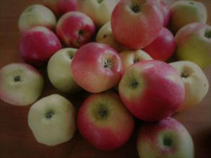 Różne odmiany jabłek - Naturalny ocet jabłkowy